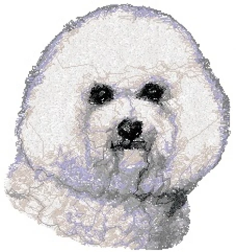 Embroidered Sweatshirt - Bichon Frise AED14759 Sizes S - XXL