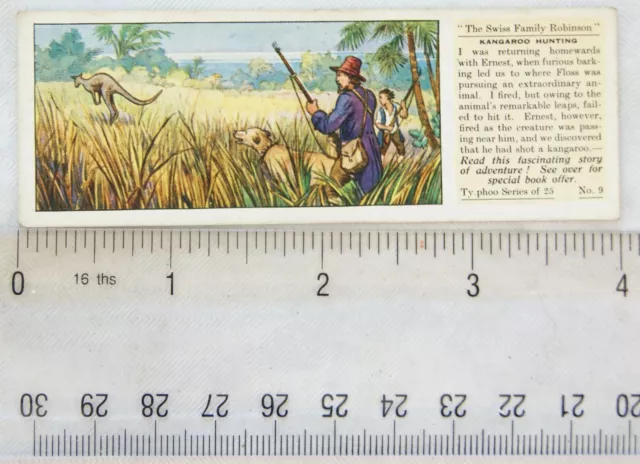 1935 Typhoo Swiss Family Robinson No. 9 Kangaroo Hunting