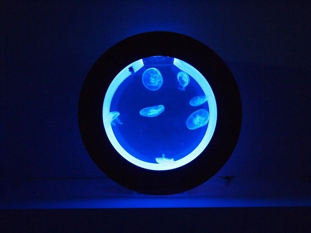 Round Desktop Jellyfish Aquarium Tank Kit for Real Live Jellyfish Fish Tank 2