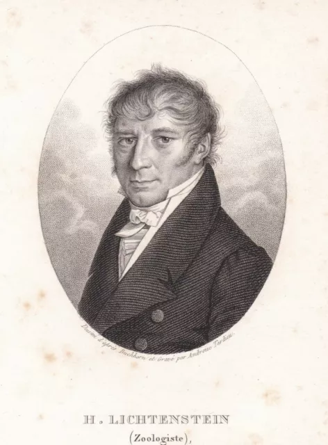 Gravure XIXe  Heinrich Lichtenstein Biologiste Zoologiste Botaniste Tardieu 1824