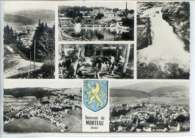 CP 25 Doubs - Morteau - Multivues n&b