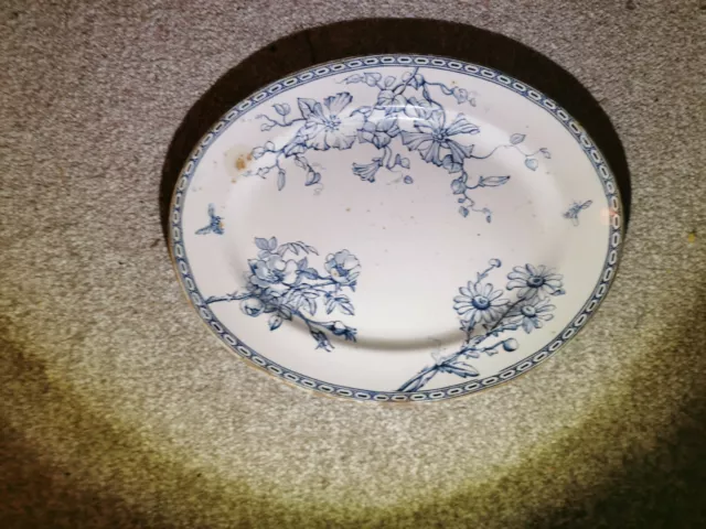 Large Wedgwood Clematis pattern / Meat Server / Plate / Dish C1860 to 1890