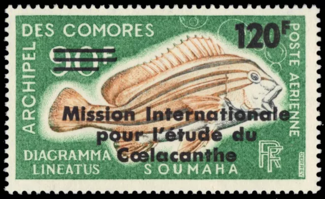 COMORO ISLANDS C52 - International Commission for Coelacanth Studies (pb85604)