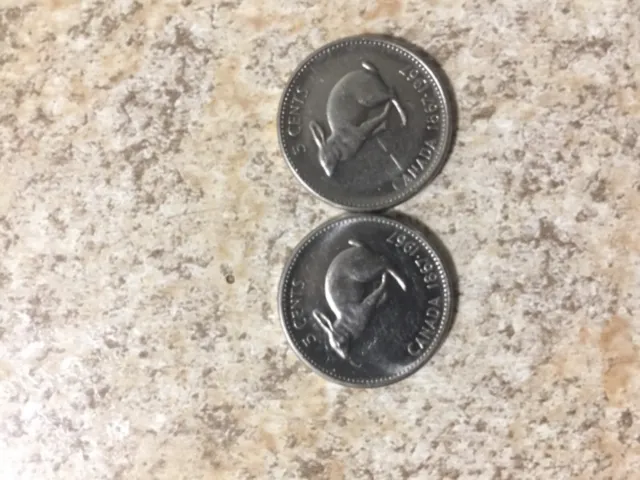 nickel coins