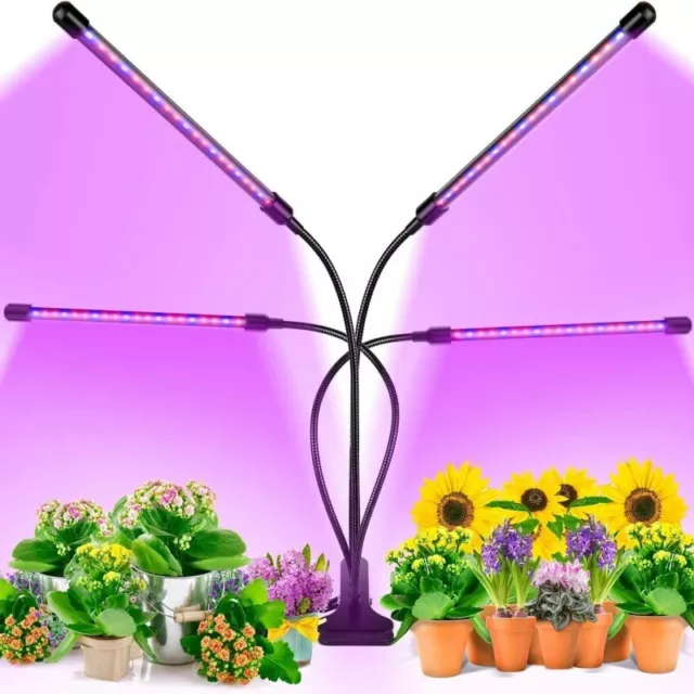 Lampe LED Horticole Avec Trépied-4 têtes Lampe pour Plantes Interieur,  Spectre Complet Lampe de Croissance pour Semis-Floraison