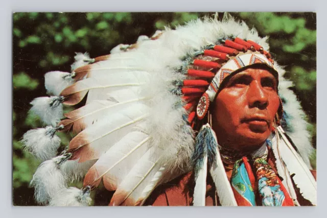 Native American Indian Chief VINTAGE POSTCARD 1381