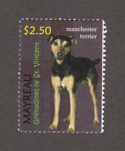 MANCHESTER TERRIER ** Int'l Dog Postage Stamp Art Collection *Great Gift Idea*