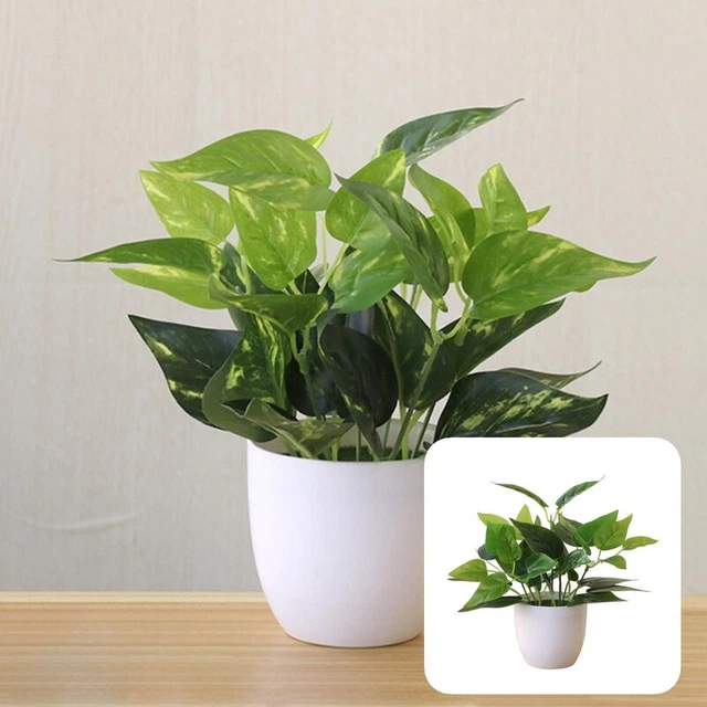 Planta de hoja caduca falsa decoración realista simulación viva infadeless