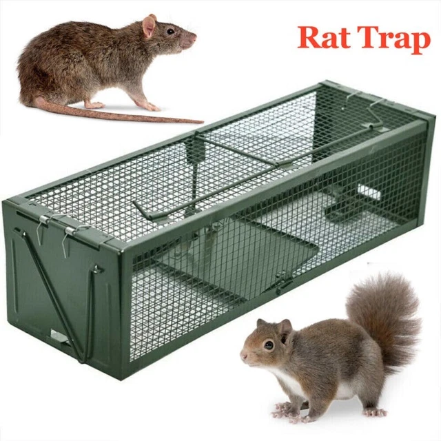 2 DOOR RAT Trap Squirrel Mouse Trap Rat Catcher Humane Live Heavy Duty ...