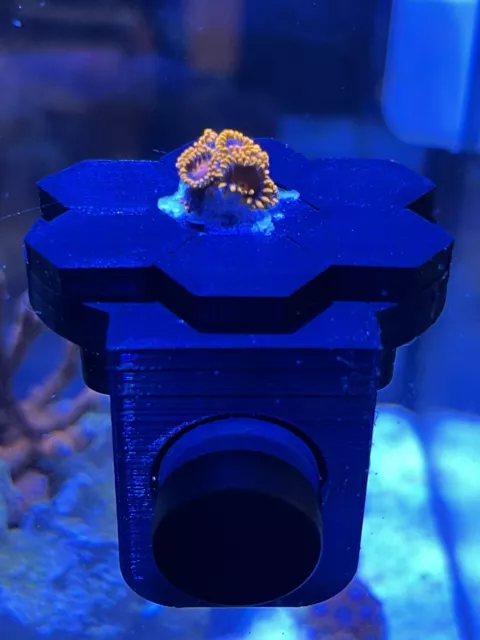 Aquarium Reef Coral Growth Frag Rack Propagation Fixture Small Size Tank Fish