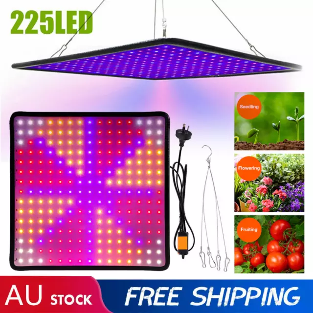 2000W LED Grow Light Hydroponic Full Spectrum Indoor Veg Flower Plant Lamp AU