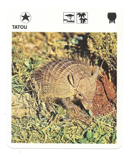 Fiche - Le livre de Paris - 1975 - Tatou