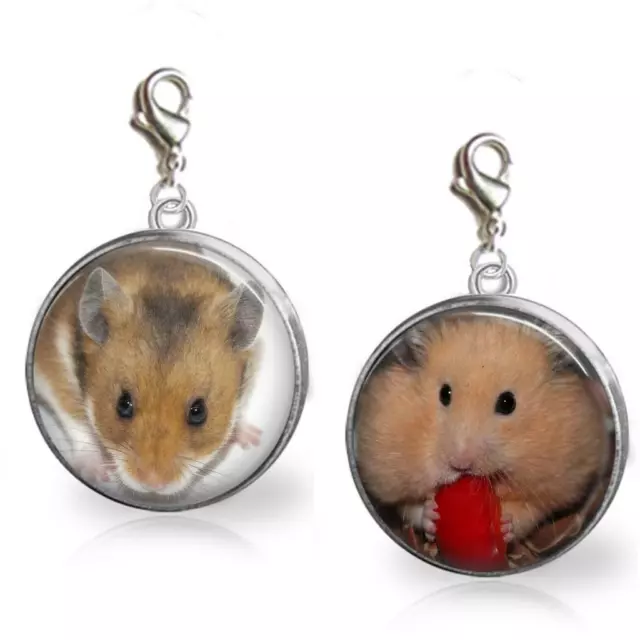 Cute Hamster Glass Dome Clip On Dangle Charm Handcrafted Quality Jewelry