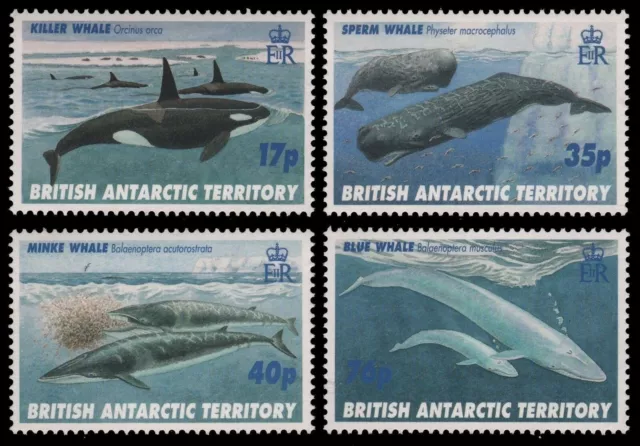 BAT / Brit. Antarktis 1996 - Mi-Nr. 250-253 ** - MNH - Wale / Whales