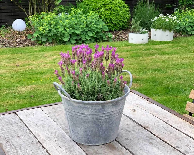 Zinktopf Pflanztopf Zink Blumentopf Zinkeimer Rund mit Griffen Landhausstil