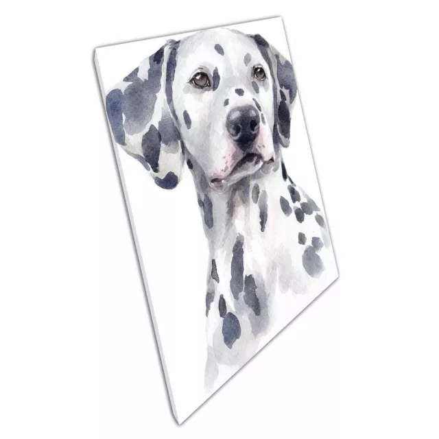 Dalmatian Dog Breed Cute Pet Watercolour Painting Wall Art Print On Canvas