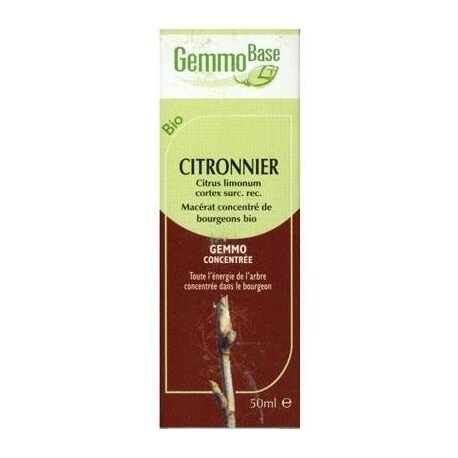 GEMMOBASE Citronnier