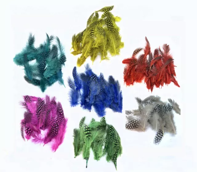 Plumaje de Gallina de Guinea, teñido y color natural para Montaje de Moscas