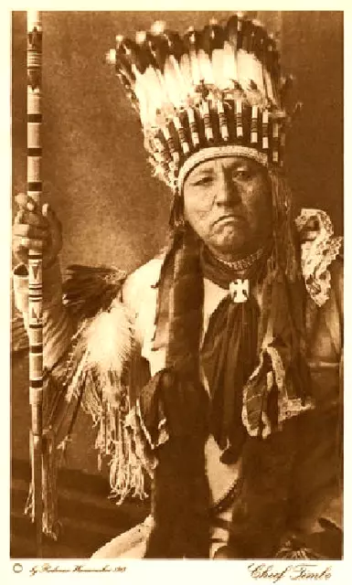 The Vanishing Race - 22 - Chief Timbo  - Comanche - Photogravure - 1913