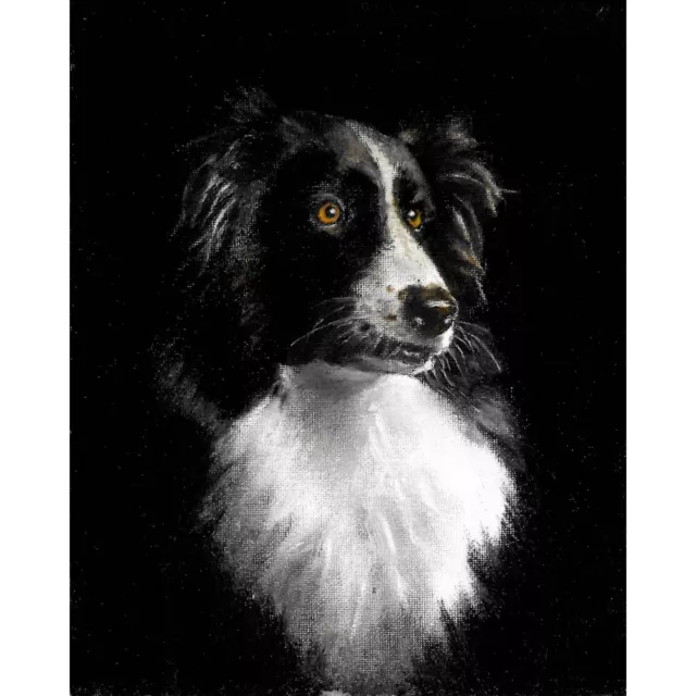 ✿ ORIGINAL Oil Dog Portrait Painting BORDER COLLIE Black White Artist Signed Art