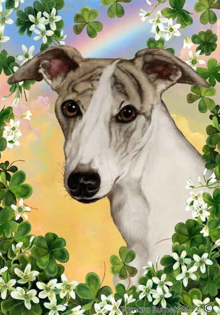 Clover House Flag - Fawn Brindle Whippet 31919