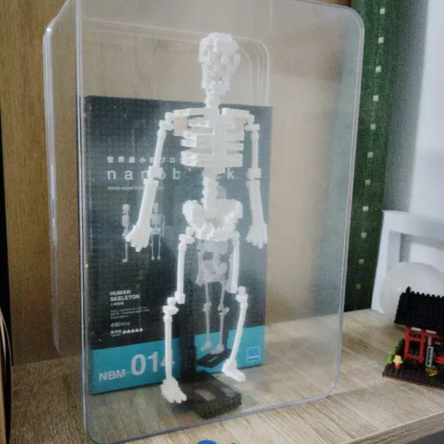 Nanoblock Human Skeleton Nbm 014