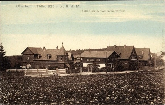 Ak Oberhof im Thüringer Wald, Villen an der Tannbacher Straße - 2730537
