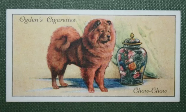 Chow Chow   Edible Dog   Vintage 1936 Illustrated Colour Card  BD26
