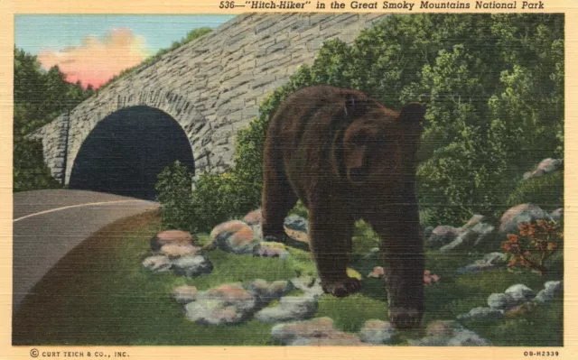 Vintage Postcard 1946 Bear Hitch-Hiker in the Great Smoky Mountains Nat'l Park