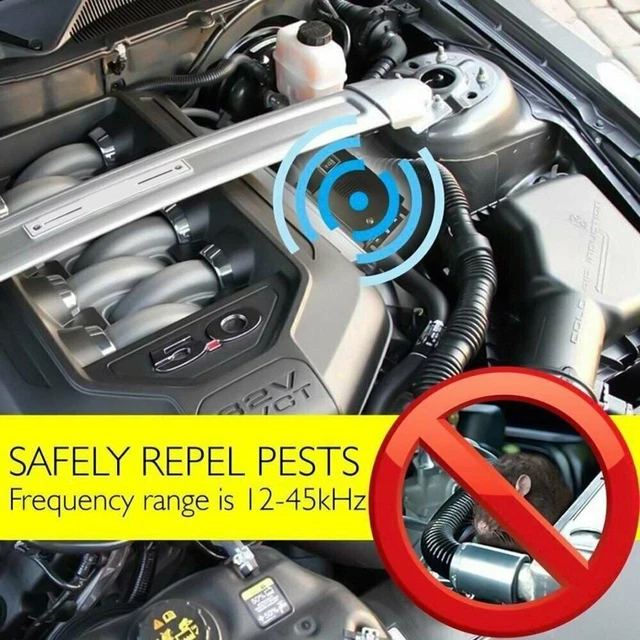 Ultraschall Marderschreck Auto - Tierfreundlicher Marderschutz Mit Blitzlicht