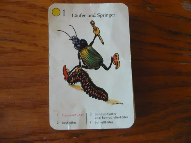 altes Quartett Kartenspiel Käfer, 60er Jahre Insekten Hirsch- Nashornkäfer