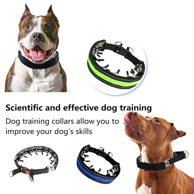 Dog training collars for hot sale sale