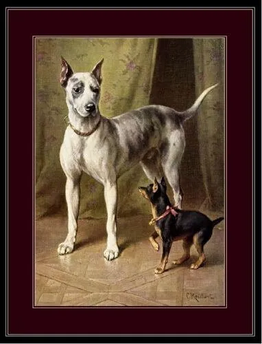94685 English Great Dane Miniature Pinscher Dog Wall Print Poster AU