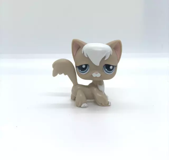 Original Littlest Pet Shop Kurzhaarkatze Shorthair  Sammlerstück Hasbro 2007