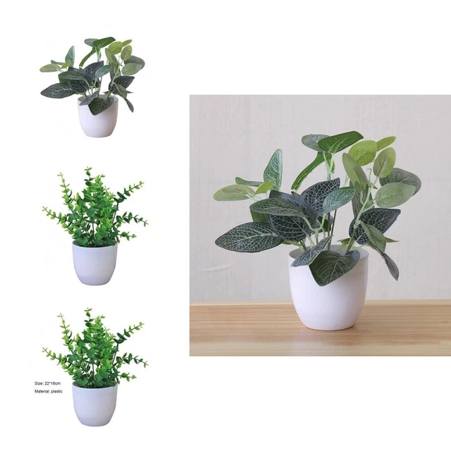 Follaje ornamental vívido multipropósito bonsái sin riego sin riego