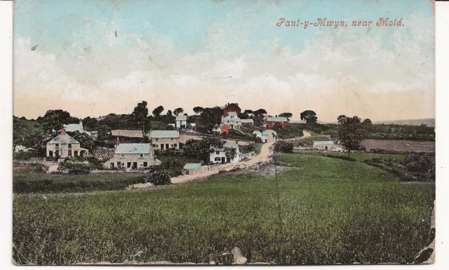 1907 Postcard Pant Y Mwyn near Mold Flintshire Wales