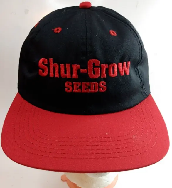 Gorra a presión Shur Grow Seeds Champaign Landmark Farmers