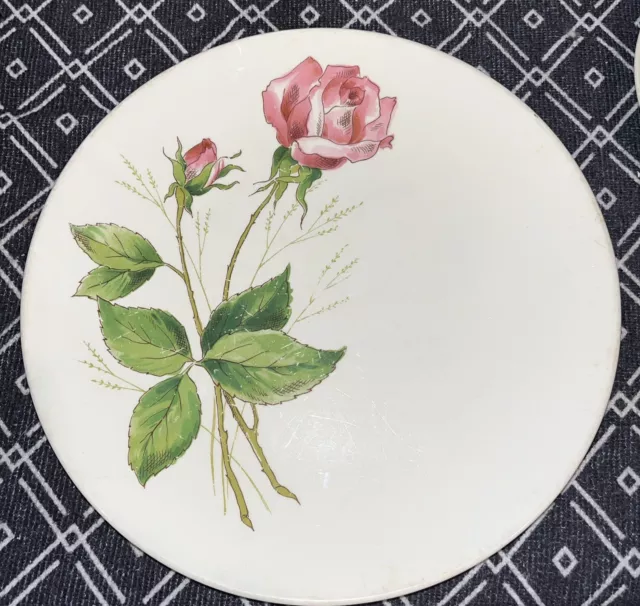 Edwin Knowles Tea Rose 10” Dinner Plate MCM 1950’s