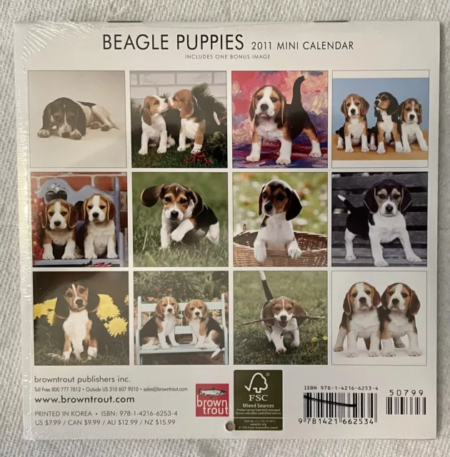 Beagle  Puppies  2011  Mini Wall  Calendar 7" X 7" By  Browntrout  New Sealed 2