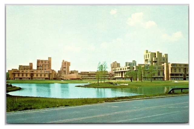 Vintage 1960s - Amherst College Campus - Buffalo, New York Postcard (UnPosted)