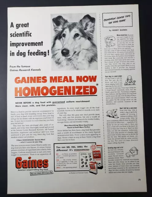 1952 Print Ad Gaines Dog Food Now Homogenized Collie Dog