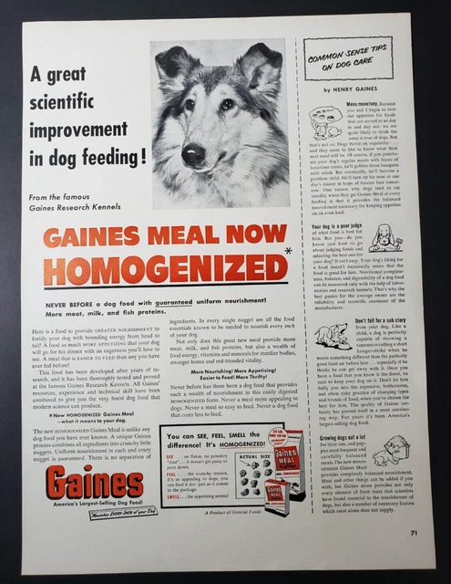 1952 Print Ad Gaines Dog Food Now Homogenized Collie Dog