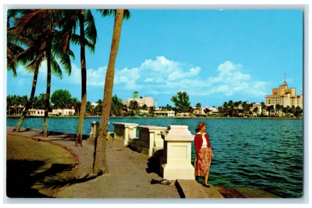 Postal c1950 Lake Front Drive Dama en los árboles junto al mar West Palm Beach Florida