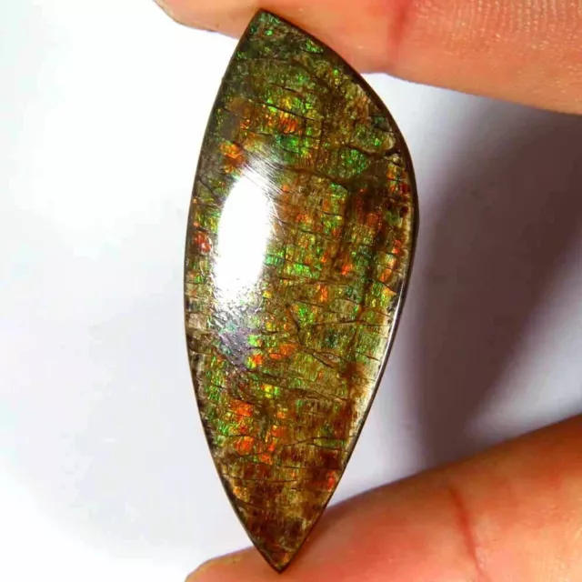 25.70Cts.100%Natural Green Fire Ammolite Fancy Cabochon 16x40x4mm Loose Gemstone