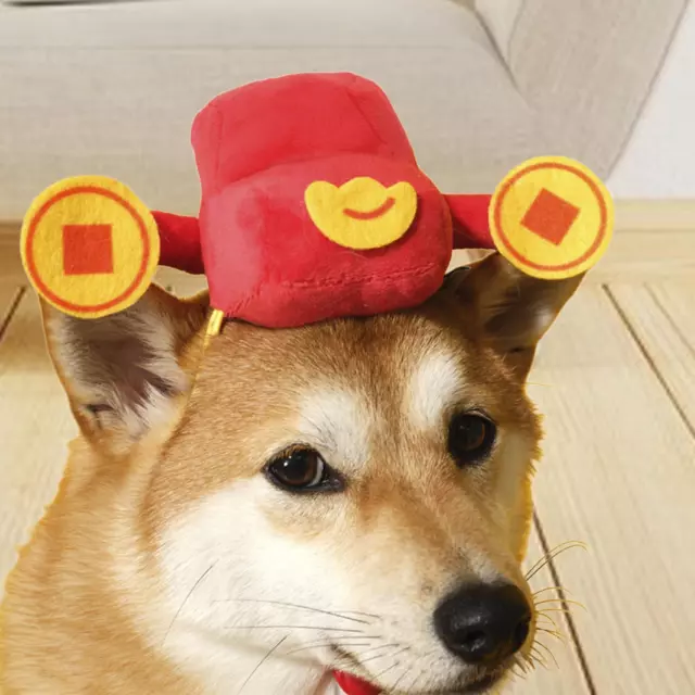 Chapeau de chat, casquette de Cosplay de fête du nouvel an chinois,