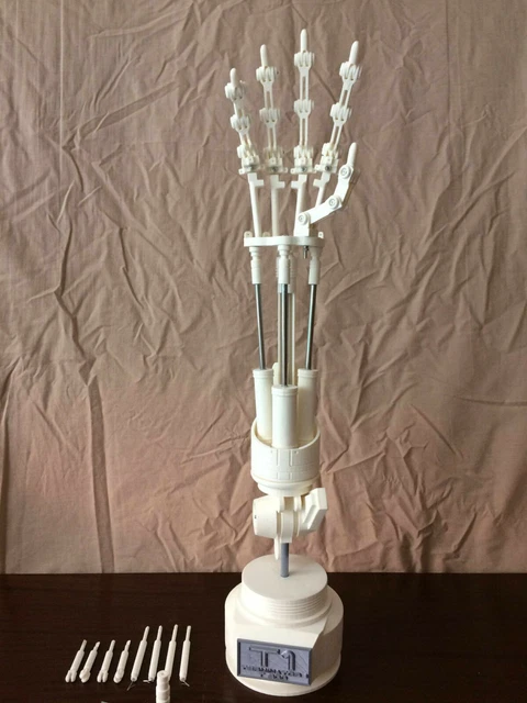 DeLegend 1:1 Terminator T800 Endoskeleton Hand Kit – Choose Right Or Left – Premium ABS
