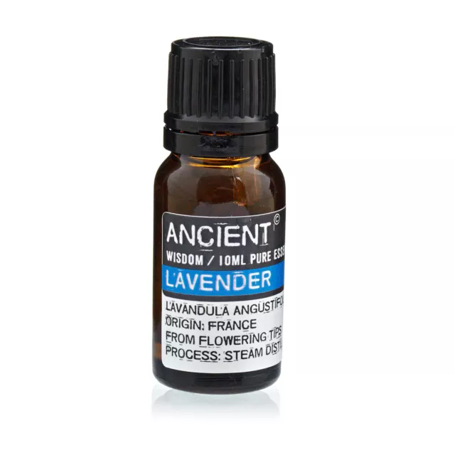 Lavendelöl 10ml - 100% naturreines, ätherisches Öl - Ancient Wisdom