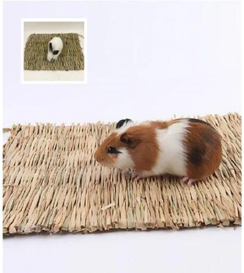 2x Tier Hamster Gras Kauen Matte Kaninchen Katze Meerschweinchen Haus Essen Pad