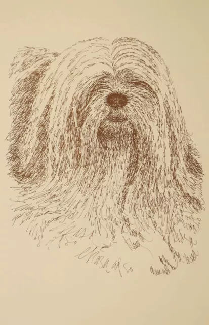 Lhasa Apso Dog Art Print #27 WORD DRAWING Kline will add your dogs name free.