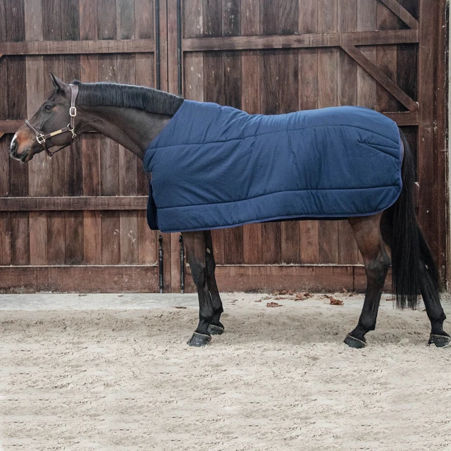 Kentucky Horsewear - Boutique Equus Vitalis